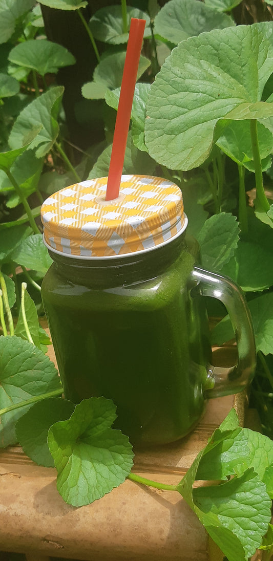 WATERCRESS and its extracted juice in a glass jar