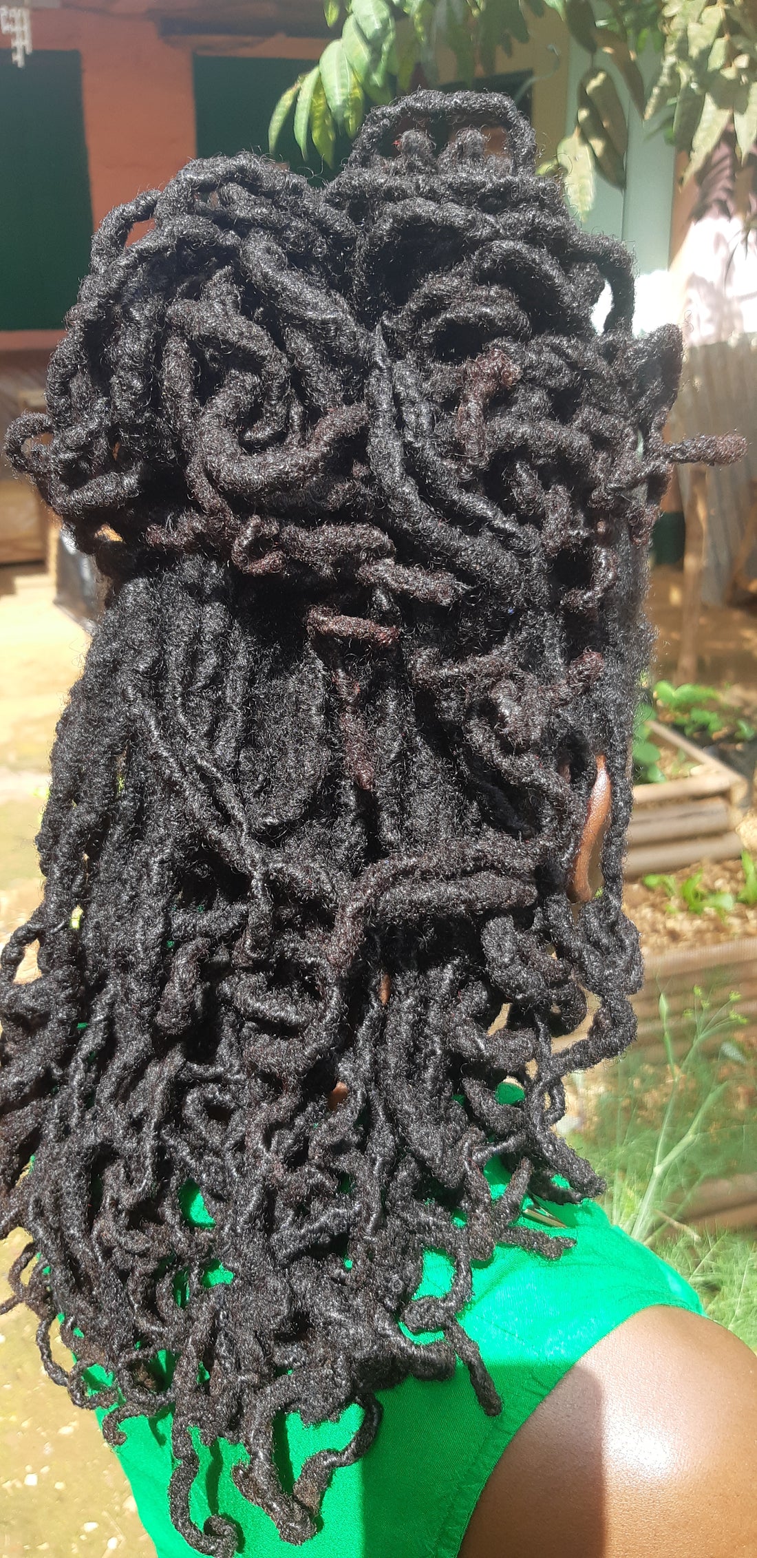 LOCS: The Daily Canvas - Revealing the Hidden Stories and Artistry of Everyday Styling